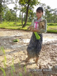 農繁期に田植えの作業を 手伝う少女