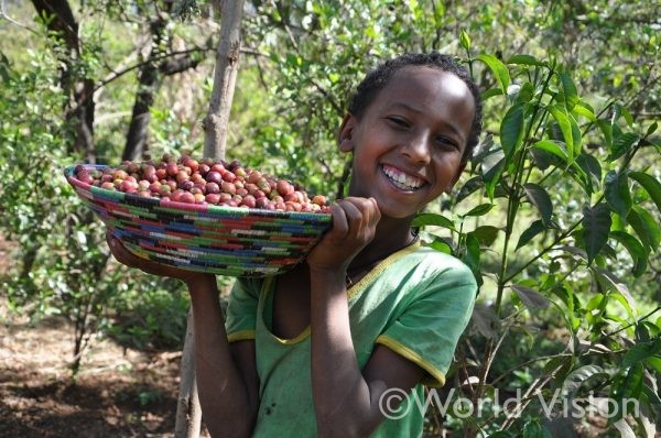 収穫したコーヒー豆を運ぶ女の子
