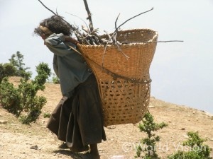 薪を運ぶ少女