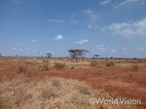 タンザニア国境に向かって走ったその先にある乾いた大地