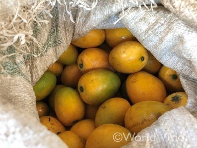 袋いっぱいのマンゴー