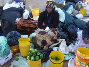 キャプシ市場で野菜を売るスワジランドの女性 
